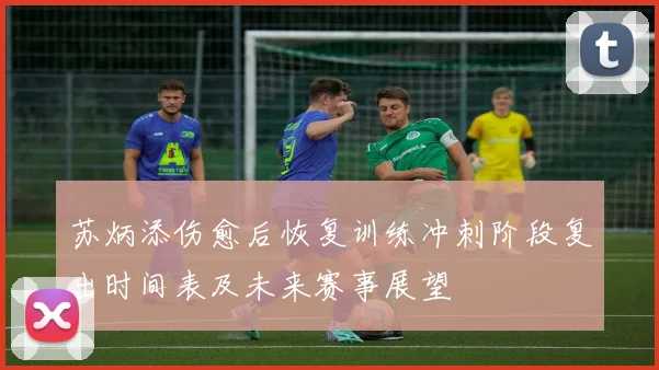 苏炳添伤愈后恢复训练冲刺阶段复出时间表及未来赛事展望